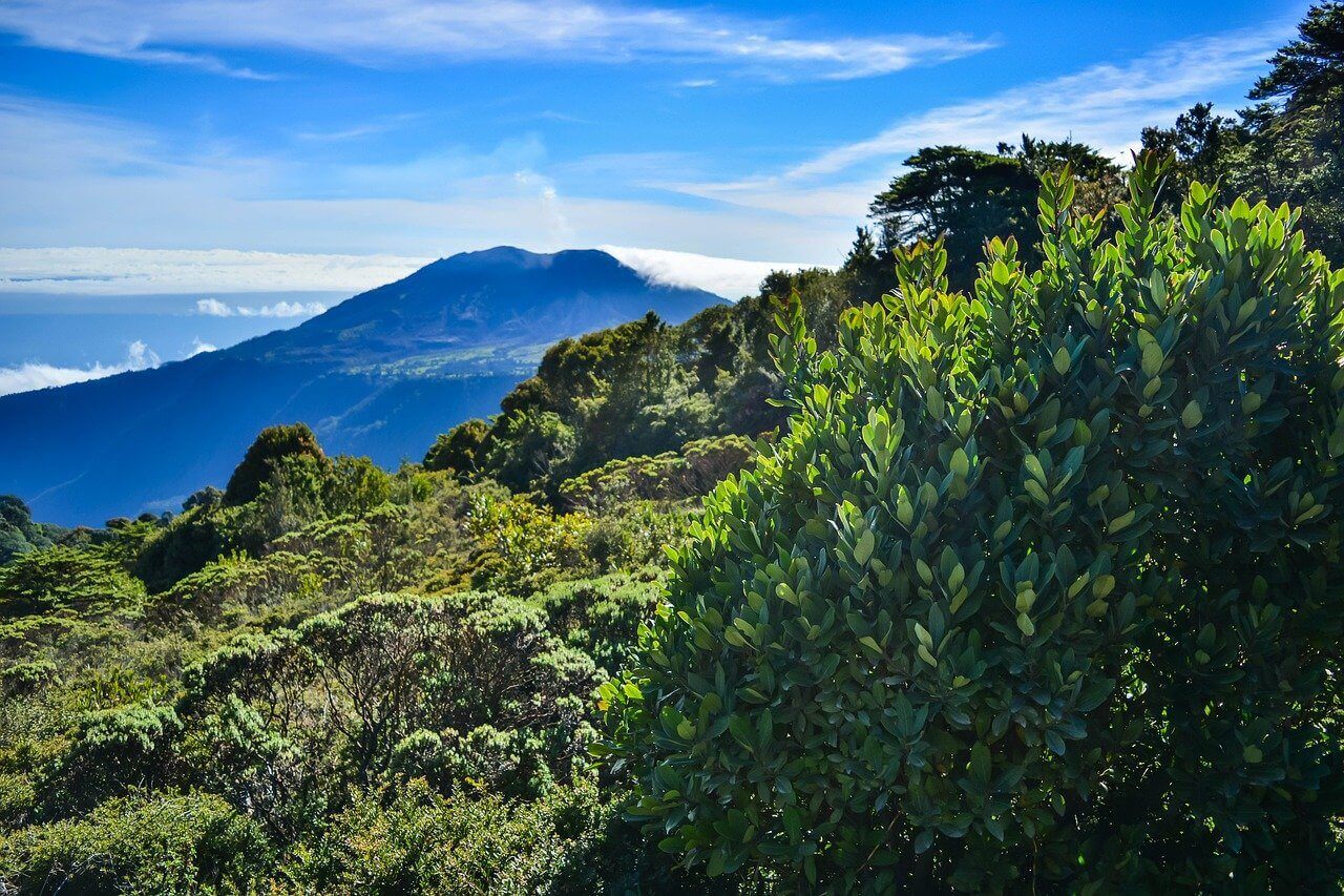 Costa Rica ¿dónde Y Cuándo Bañarse? Temperatura Del Mar Por Mes TemperaturaDelMar.es Costa Rica ¿dónde Y Cuándo Bañarse? Temperatura Del Mar Por Mes TemperaturaDelMar.es