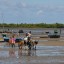 Horario de mareas en Morondava en los próximos 14 días