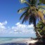 Cuándo bañarse en Isla Saona: temperatura del mar por mes