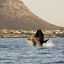 Horario de mareas en Cape of Good Hope en los próximos 14 días