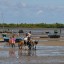 Horario de mareas en Belon'i Tsiribihina en los próximos 14 días